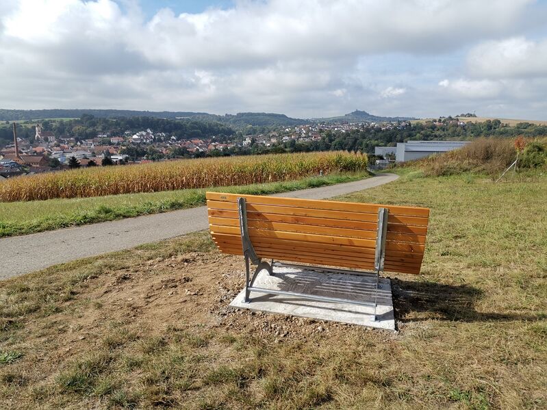 Datei:Waldsofa Reihen.jpg