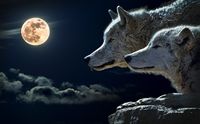 Wolf-mond.jpg