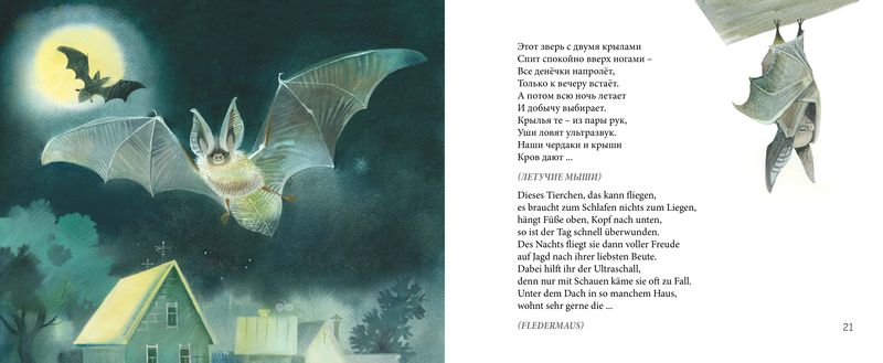 Datei:Kaleidoskop Fledermaus.jpg