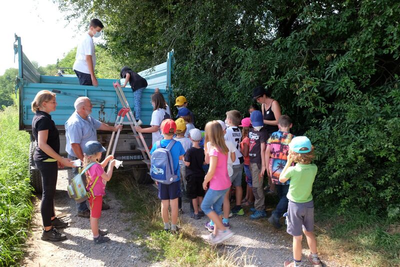 Datei:Klingenbruchhof 2021 Kartoffeln 08.jpg
