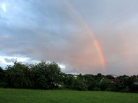 Regenbogen-wald.jpg