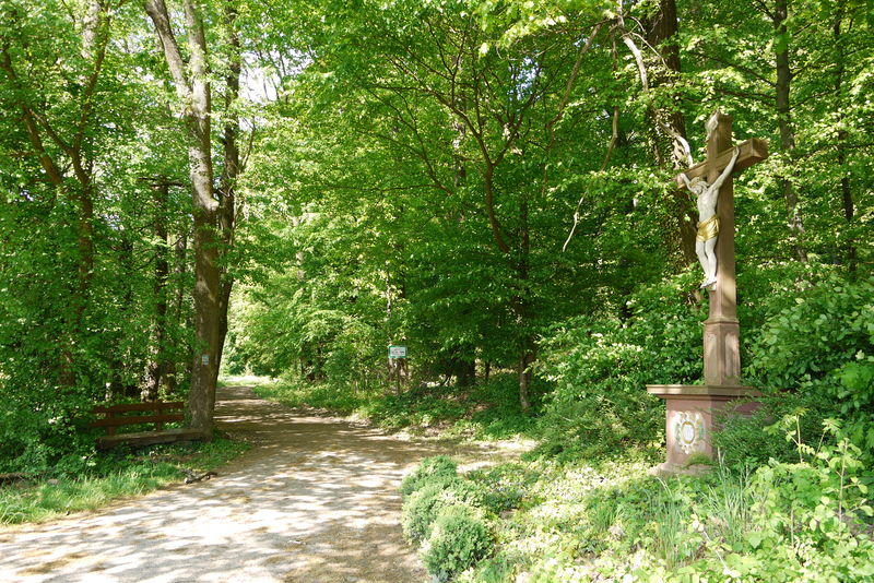 Datei:Balzfeld Eichholz 08.jpg