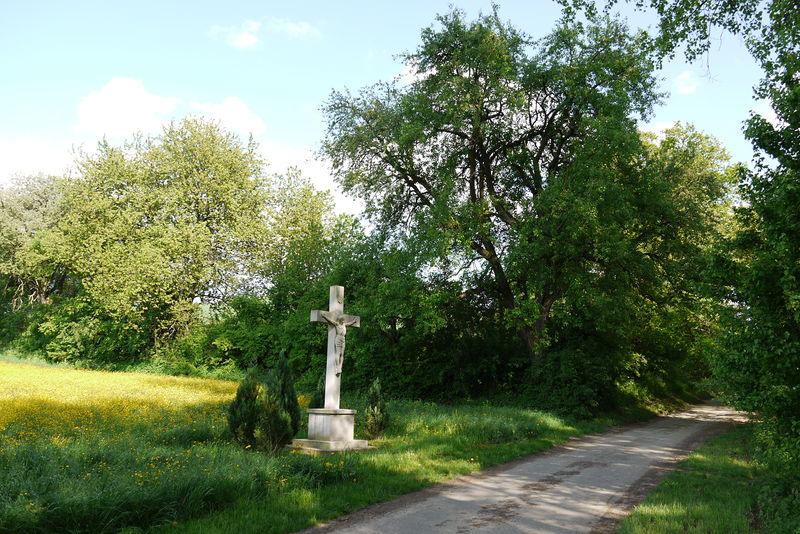 Datei:Balzfeld Immental 02.jpg