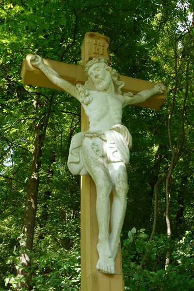 Datei:Balzfeld Ringelter Grund 04.jpg