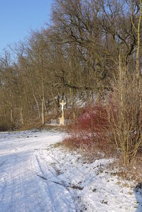 Balzfeld Ringelter Grund 03.jpg