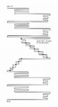 Vorschaubild der Version vom 18:49, 23. Mai 2024