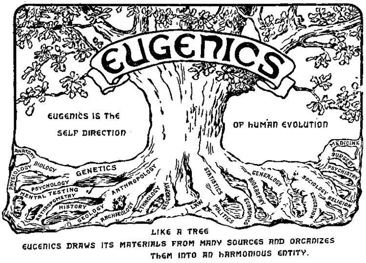 Eugenics Tree 1921.gif