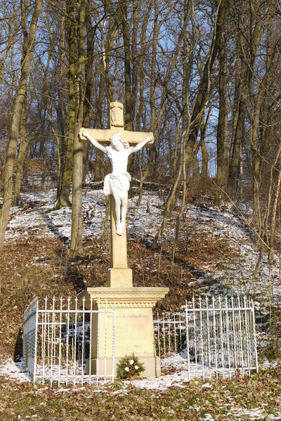 Datei:Balzfeld Ringelter Grund 02.jpg