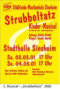 Diashow-Musikschule Sinsheim 09.jpg