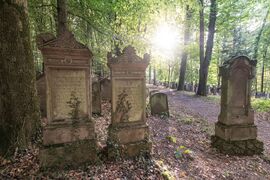 Waldlehrpfad und jüdischer Friedhof Waibstadt 1.jpg