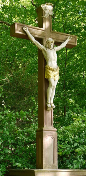 Datei:Balzfeld Eichholz 05.jpg