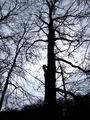 Vorschaubild der Version vom 16:36, 18. Feb. 2015