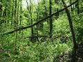 Vorschaubild der Version vom 11:44, 28. Mai 2024