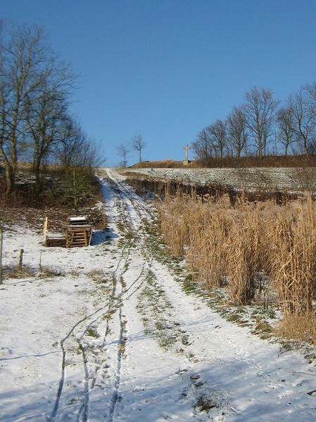Datei:Balzfeld Klipfelsaecker 07.jpg