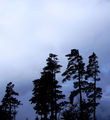 Vorschaubild der Version vom 19:10, 20. Okt. 2014