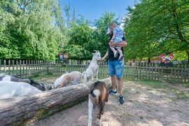 WildparkStreiche Schwarzach 0190 (C)Barth 2022 (Groß).jpg