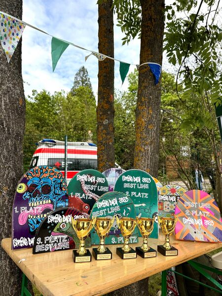 Datei:Pokale aus Skatedecks Melike Gülec.jpg