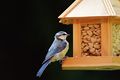 Vorschaubild der Version vom 16:17, 12. Jan. 2016