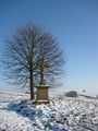 Vorschaubild der Version vom 10:53, 16. Feb. 2014
