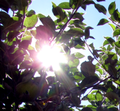 Vorschaubild der Version vom 16:05, 3. Jun. 2015