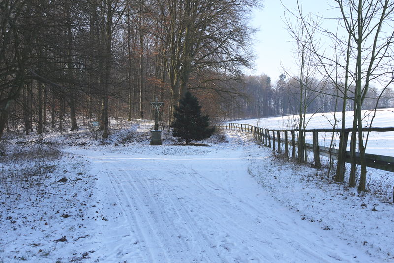 Datei:Balzfeld Fuchsloch 04.jpg