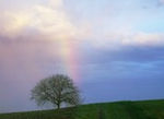 Regenbogen-04.jpg