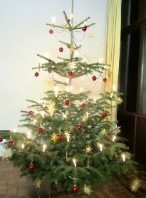 Datei:Weihnachtsbaum-lichter.JPG