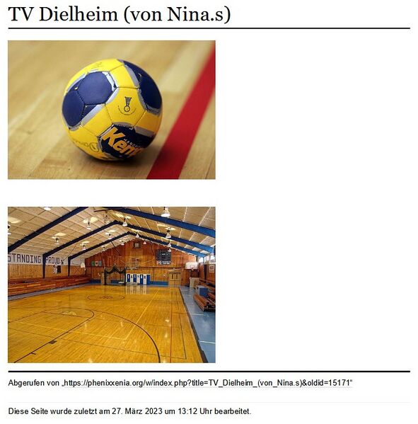 Datei:Nina 1 - TV Dielheim (von Nina.s).jpg