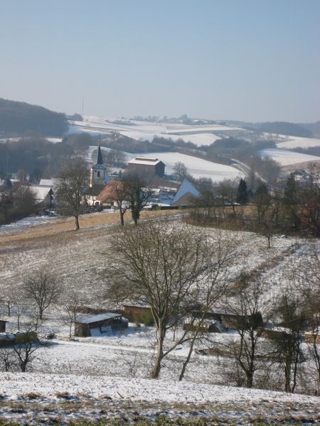 Datei:Balzfeld Geblich 04.jpg